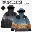 THE NORTH FACE ノースフェイス マウンテンパーカー ゴアテックス GTX MOUNTAIN VISTA JACKET マウンテンジャケット GOR...
