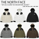 THE NORTH FACE ノースフェイス マウンテンパーカー M'S ECO GORE TEX MOUNTAIN JACKET エコ ゴアテックス マウンテ...
