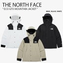 THE NORTH FACE ノースフェイス マウンテンパーカー ECO GTX MOUNTAIN JACKET エコ ゴアテックス マウンテン ジャケット パ...