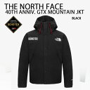 THE NORTH FACE ノースフェイス ダウンジャケット ゴアテックス 限定モデル M'S 40TH ANNIVERSARY GTX MOUNTAIN J...