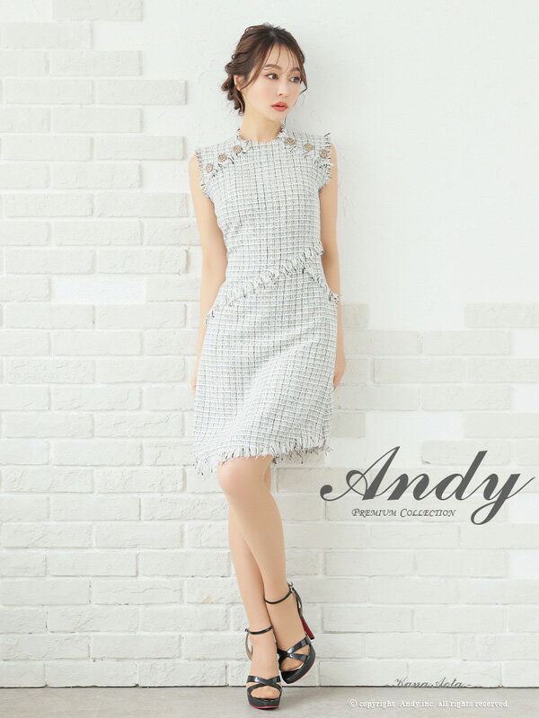 Andy hX AN-ON2822 s[X ~jhX andyhX AfBhX Nu Lo hX p[eB[hX