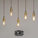 アクメファニチャー ACME Furniture ペンダントランプ ACDL-121 OVER LAP LAMP対応ソケット ソケット インテリア 照明 ライト ランプ 照明器具 ペンダントライト 吊下げ灯 天井照明