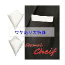 チーフ ポケットチーフ シルク ワケあり アウトレット 白 ホワイト グレー シルバー wmpc-001