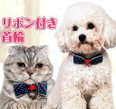 首輪 小型犬 チョーカー 蝶ネクタイ ペット リボン 鈴 かわいい ドット チェック 迷子防止 pw-016