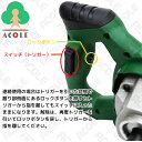 acole:10003487のサンプル画像3
