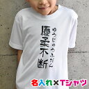 母の日ギフトにお試し名入れTシャツ!好きな文字を入れられる和風フォントのお名前入り半袖Tシャツ!選べる!親子兄弟でリンクコーデ/子供服/キッズ服/ジュニア服/レ...