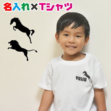 名入れTシャツ お試しでシンプルですが可愛い仕上がりのお名前入りTシャツをぜひ!親子兄弟でリンクコーデ・ペアルック 出産祝いやお誕生日プレゼント、クラスTシャツにも使えます/子供服/キッズ服/ジュニア服/レディース/メンズ 男の子 女の子