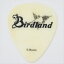 ڥСɥɡBirdland ꥸʥ ԥå Buffalo Bone Flat Pick 0.8mmڿ