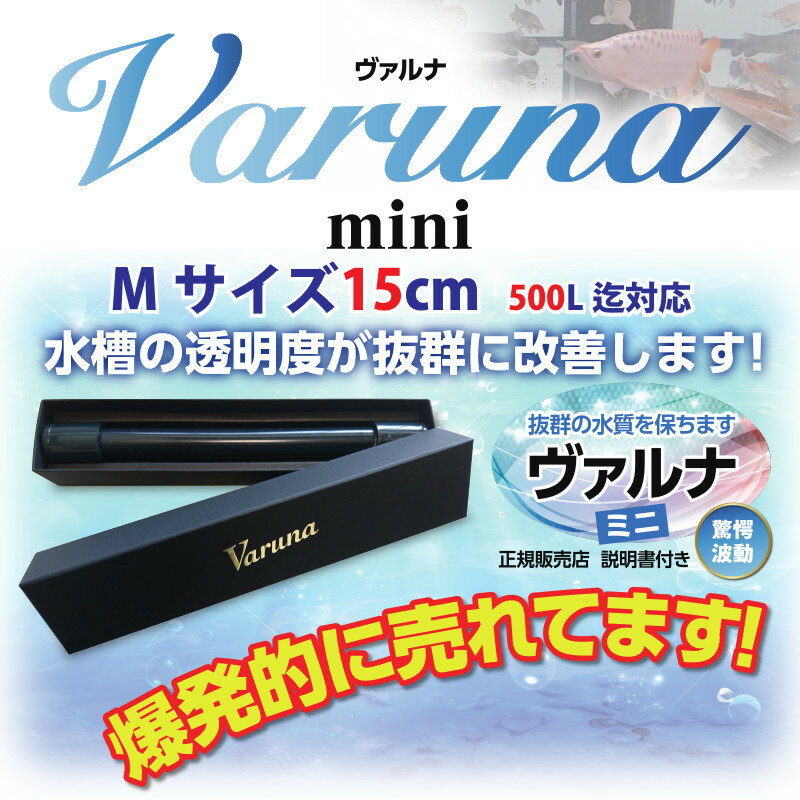 楽天市場】ヴァルナミニMサイズ 15cm 水替えなしの水質改善 500Lの水槽 ...