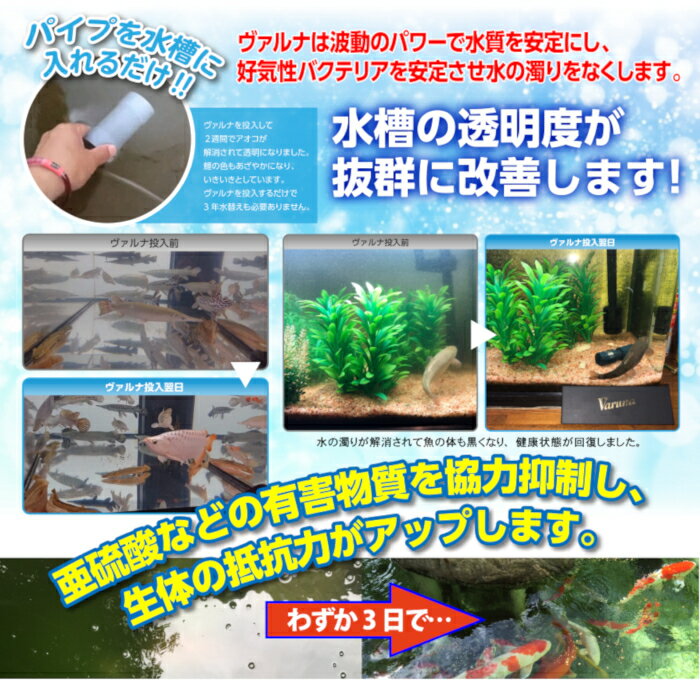 ヴァルナミニ使用前使用後