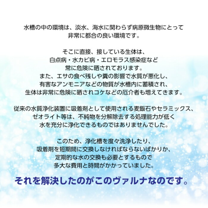 水槽のごみの話