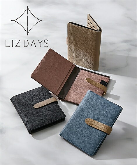 ファッション雑貨 LIZDAYS リズデイズ 配色 多機能 マルチケース ポーチ 通勤 通学 通帳 通帳ケース カード入れ 家計ポーチ お薬手帳 診察券 パスポート 母子手帳 年金手帳 (アクアカルダ)