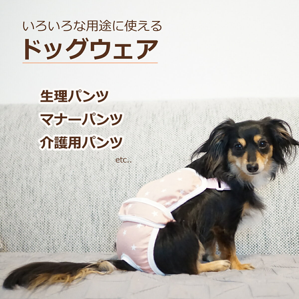 サニタリーパンツ 犬 生理用パンツ マナーパンツ サニタリーウェア おむつカバー メス マナーベルト ドッグウェア 犬用ウェア 小型犬 老犬 介護犬 介護用パンツ 発情期 服 女の子 2