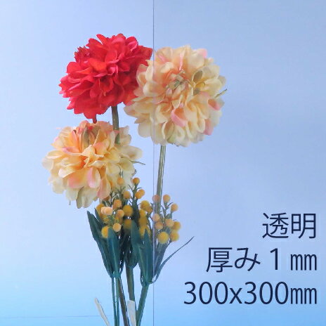 ǡ żӥˡ Ʃ(100) 1mm 300300mm SS30 PVC ץ쥹 ʾò DIY ...