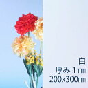 サンデーシート 硬質塩化ビニール 白(200) 不透明 厚み1mm 200×300mm SS20サイズ PVC プレス板 自己消火性 色板 DIY アクリサンデー