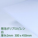PPクラフトシート 発泡タイプ 白(HP1) 厚み2mm 300mm×450mm ポリプロピレン 軽量 印刷可能 仕切り板 DIY アクリサンデー