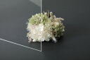 アクリサンデーEX板 アクリル 透明(EX001) 厚み2mm 320×545mm 押出グレード Sサイズ 連続キャスト製法 プラスチック DIY