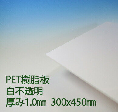 サンデーPET ペット樹脂 白(PG2) 不透明 厚み1mm 300×450mm カバー ポップ エコロジープラスチック 色板 DIY アクリサンデー