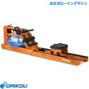 ダイコー 水圧式ローイングマシン DK-6203 家庭用フィットネスマシン ボート漕ぎ 腹筋 背筋 筋トレ リハビリ トレーニング ダイコウ daikou 大広