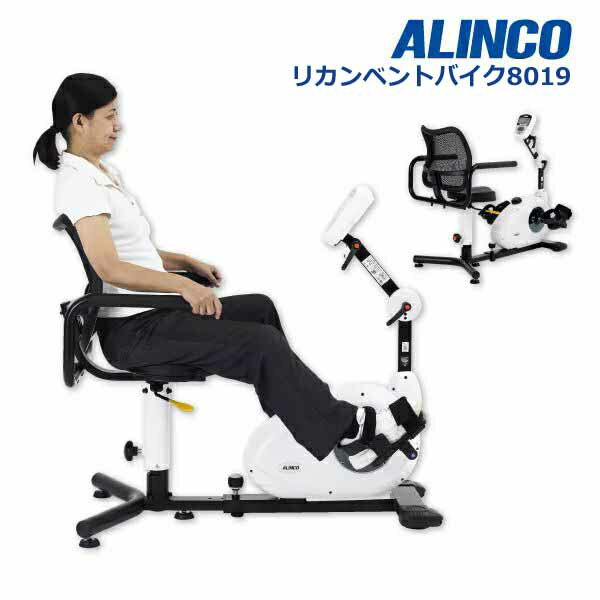 アルインコ AHE8019 リカンベントバイク8019 フィットネスバイク スピンバイク 健康管理 トレーニング リハビリ ストレス発散 同梱不可！