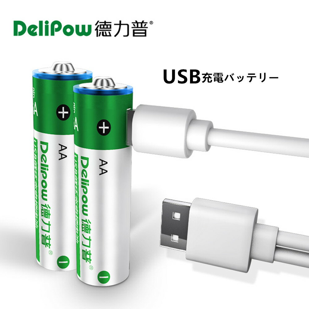 「WASHODO」DELIPOW usb充電式電池 単3 2本セット USB充電式電池 1.5V 1950mWh リチウム イオンバッテリー USBケーブル 安心保証付き 800-0119C 送料無料