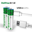 「WASHODO」DELIPOW usb充電式電池 単3 2本セット USB充電式電池 1.5V 1950mWh リチウム イオンバッテリー USBケーブル 安心保証付き 800-0119C 送料無料