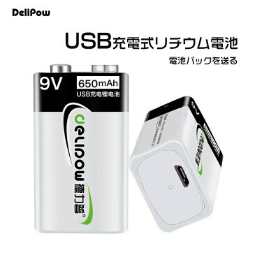 「WASHODO」DELIPOW 繰り返し使える 6P型 USB充電式電池 9V 650mAh リチウム イオンバッテリー USBケーブル 電池パック付き 「2本セット」