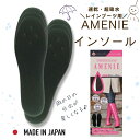 インソール レインブーツ用 AMENIE アメニー レディース 梅雨 足の臭い ブラック ニオイ対策