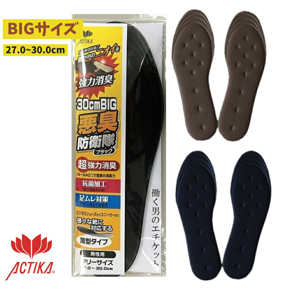 足の臭い 対策 インソール 27cm-30cm 悪臭防衛隊ビッグタイプ 特大 大きいサイズ 超強力消臭 消臭特許技術採用 靴 消臭