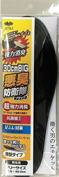 足の臭い 対策 インソール 27cm-30cm 悪臭防衛隊ビッグタイプ 特大 大きいサイズ 超強力消臭 消臭特許技術採用 靴 消臭