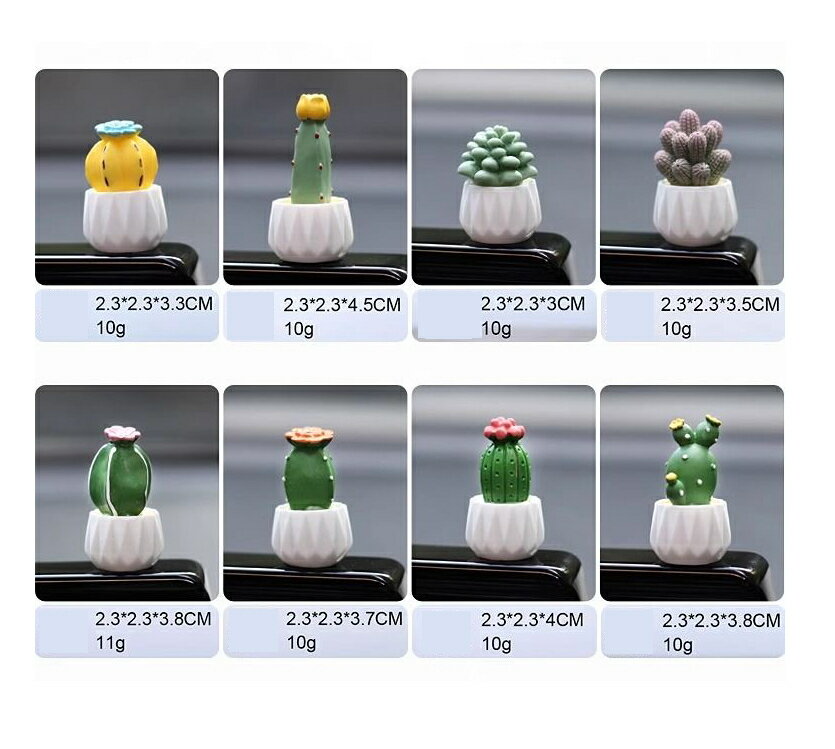 �־��� �İ��� 8�ĥ��å� ξ�̥ơ����դ� �������������꡼ �������� ����ƥꥢ�� �־��� ��ʪ �ۥ磻�� �Х��� ��ž�� ���� ������� ����ʪ ������ �ߥ˥����� �İ��� £��ʪ �ץ쥼��� �ߺ� ��ʪ