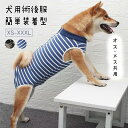 犬用術後服 エリザベス 男の子 雄 オス/大型犬用 避妊 去勢 乳腺腫瘍 介護服 術後着 術後 手術