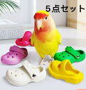 5点セット ミニサンダル 鳥さん用 玩具 文鳥 インコ 遊び おもちゃ アクセサリー 遊び道具 かわいい おもちゃ ペット用品 グッズ アイテム