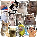 100枚 ネコ ねこ 猫 meme Y2K 面白い おもろい シール スティッカー おもろい かわいい グッズ プレゼント ギフト オシャレ アイテム グッズ