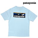 PATAGONIA p^SjA Lv[ N[ fC[ OtBbN Vc CAPILENE COOL DAILY GRAPHIC -WATERS BSLC BOARDSHORT LOGO: CHILLED BLUE 45355