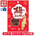 なとり 梅スッキリ チャック付 14g × 20袋 【 駄菓子 熱中症対策 お菓子 梅干し 詰め合わせ 駄菓子セット ギフト 子供 おやつ まとめ買い ポイント消化 夏バテ 塩分補給 梅すっきり 干し梅 ほし梅 送料無料 】