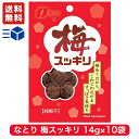 なとり 梅スッキリ チャック付 14g × 10袋 【 駄菓子 熱中症対策 お菓子 梅干し 詰め合わせ 駄菓子セット ギフト 子供 おやつ まとめ買い ポイント消化 夏バテ 塩分補給 梅すっきり 干し梅 ほし梅 送料無料 】