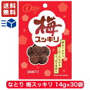 なとり 梅スッキリ チャック付 14g × 30袋 【 駄菓子 熱中症対策 お菓子 梅干し 詰め合わせ 駄菓子セット ギフト 子供 おやつ まとめ買い ポイント消化 夏バテ 塩分補給 梅すっきり 干し梅 ほし梅 送料無料 】