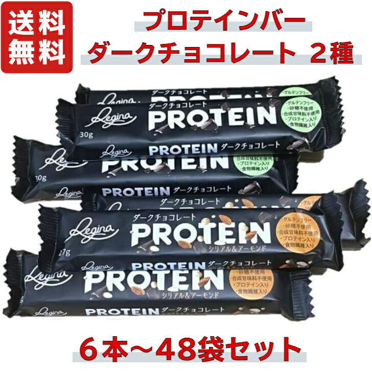  プロテインバー チョコレート チョコレートバー 味 砂糖不使用 グルテンフリー 美味しい 食物繊維 チョコバー 高タンパク 健康 保存食 ホエープロテイン ホエイプロテイン セット