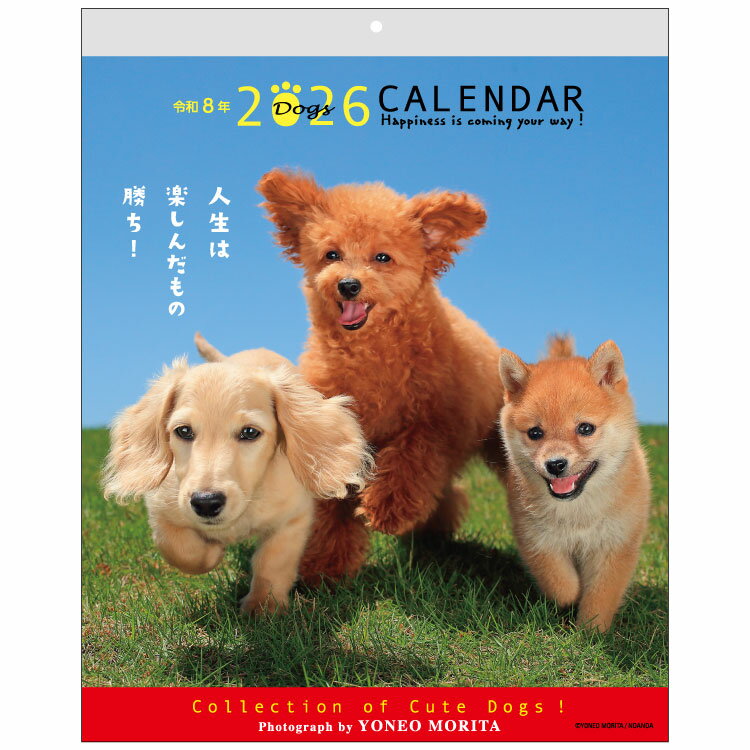 森田米雄・メッセージカレンダーDOG　26ACL-09