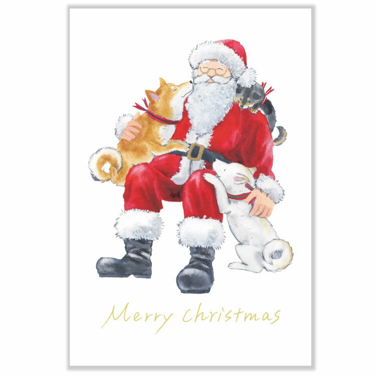 ƥ֥ݥ졼㤨֤Ф̤ȥꥹޥݥȥɡڥ󥿥 CMP-364פβǤʤ165ߤˤʤޤ