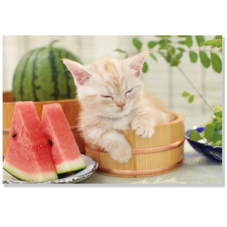 夏柄・ネコポストカード PB-532s