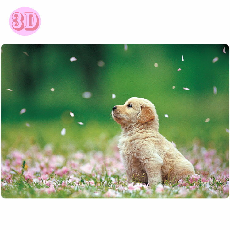 【3D】春柄ポストカード 犬 PP-58h