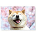可愛い犬たちが春の優しい景色をお届けします サイズ：148×100mm 素材：紙製