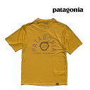 PATAGONIA パタゴニア キャプリーン クール デイリー グラフィック シャツ CAPILENE COOL DAILY GRAPHIC SHIRT CCSX CLN CLB HX:SFRN X 45235