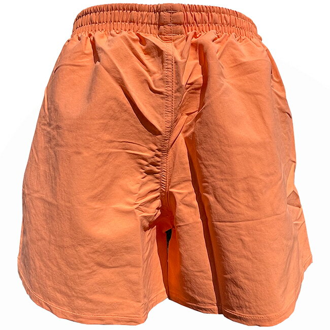 PATAGONIA �ѥ����˥� ��ǥ����� ���硼�ȥѥ�� �Х����� ���硼�� 5����� WOMEN'S BAGGIES SHORTS - 5