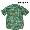PATAGONIA パタゴニア ゴー トゥ シャツ GO TO SHIRT CWGN CLIFFS AND WAVES: CONIFER GREEN 52691