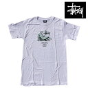 ステューシー ペアTシャツ STUSSY ステューシー ディオニュソス Tシャツ DIONYSOS TEE WHITE 1904654