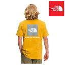 USA企画 THE NORTH FACE ザ ノースフェイス エヌ エス イー ボックス Tシャツ M SHORT SLEEVE BOX NSE TEE H9D ARROWWOOD YELLOW