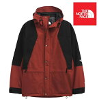 USA企画 THE NORTH FACE ザ ノースフェイス レトロ マウンテン ライト フューチャーライト ジャケット 1994 RETRO MOUNTAIN LIGHT FUTURELIGHT JACKET BRICK HOUSE RED S-XXL 大きいサイズ